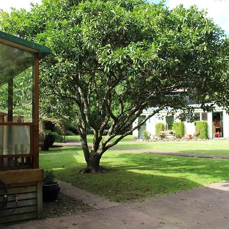 Parsloe'S Cottage Coromandel Luaran gambar